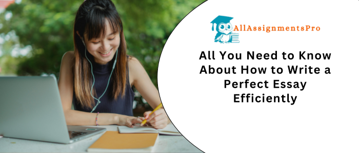 All You Need to Know About How to Write a Perfect Essay Efficient