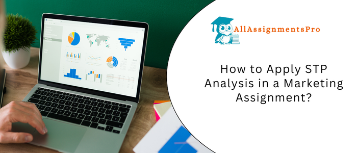 How to Apply STP Analysis in a Marketing Assignment?