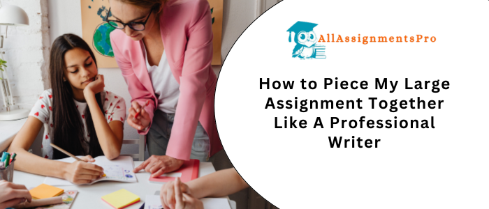 How to Piece My Large Assignment Together Like A Professional Writers