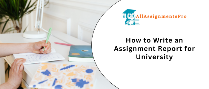 How to Write an Assignment Report for Universities
