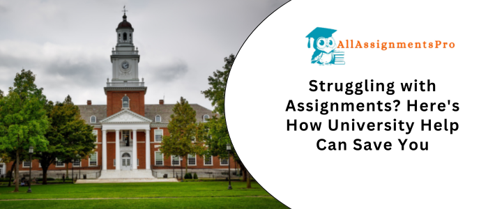Struggling with Assignments Here's How University Help Can Save
