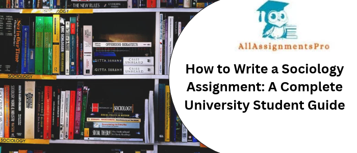 How to Write a Sociology Assignment: A Complete University Student Guide